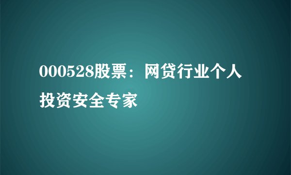 000528股票：网贷行业个人投资安全专家