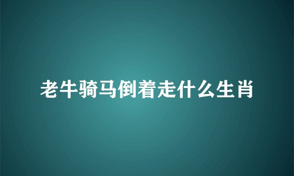 老牛骑马倒着走什么生肖