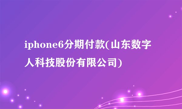 iphone6分期付款(山东数字人科技股份有限公司)