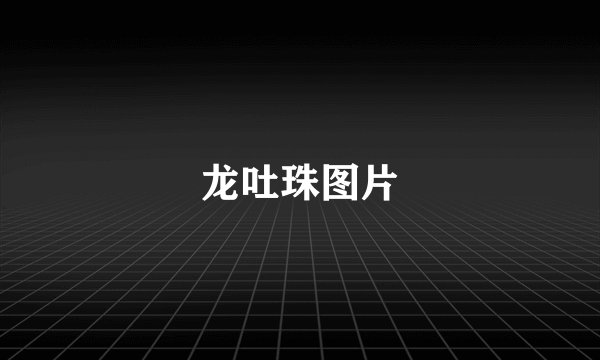 龙吐珠图片