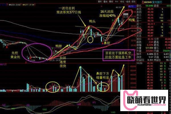 千金难买老鸭头——“鸭颈买，鸭头减仓，鸭嘴加仓”这才是老鸭头战法的真正精髓！