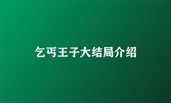乞丐王子大结局介绍