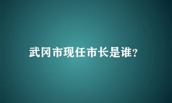 武冈市现任市长是谁？