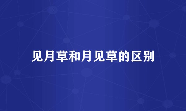 见月草和月见草的区别
