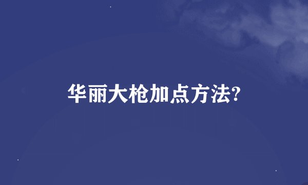 华丽大枪加点方法?
