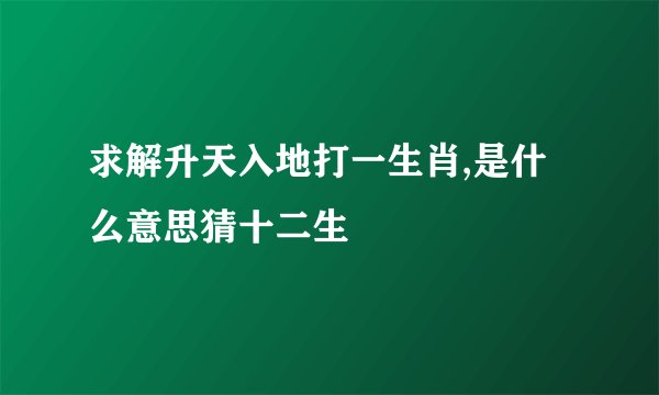 求解升天入地打一生肖,是什么意思猜十二生