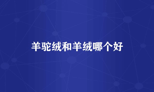 羊驼绒和羊绒哪个好