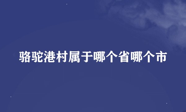 骆驼港村属于哪个省哪个市