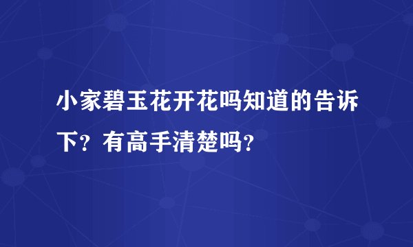 小家碧玉花开花吗知道的告诉下？有高手清楚吗？