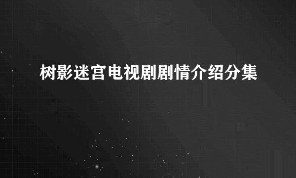 树影迷宫电视剧剧情介绍分集