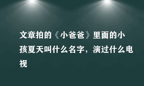 文章拍的《小爸爸》里面的小孩夏天叫什么名字，演过什么电视