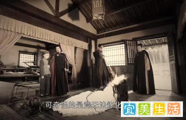 《司藤》单志刚真实身份除了丘山，还可能是邵琰宽或者白英的孩子