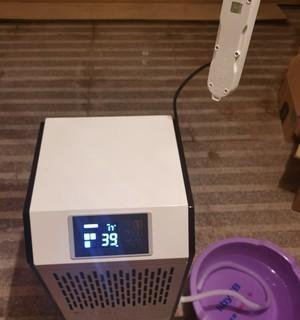 南方回南天气潮湿怎么办？