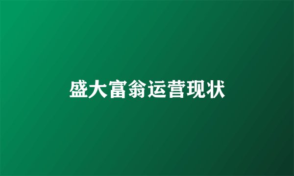 盛大富翁运营现状