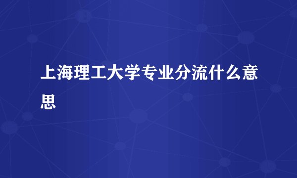 上海理工大学专业分流什么意思