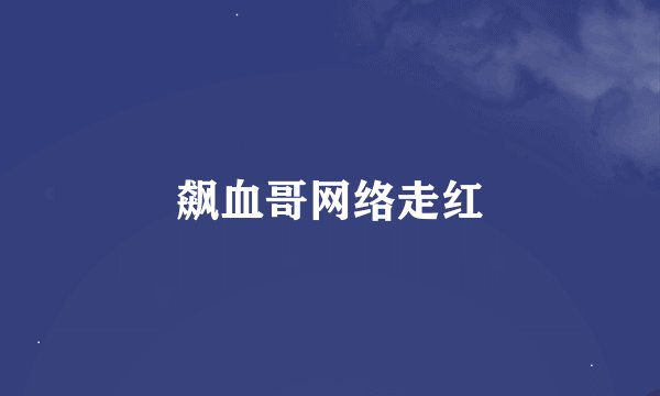 飙血哥网络走红