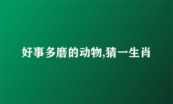 好事多磨的动物,猜一生肖
