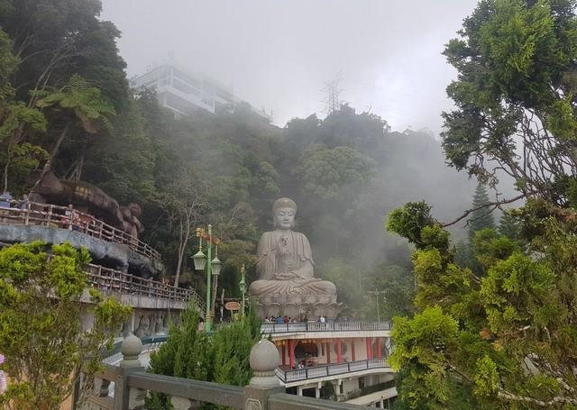 八重齿与财运有什么关系？