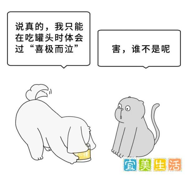 我把男朋友睡哭了……|每日罐头