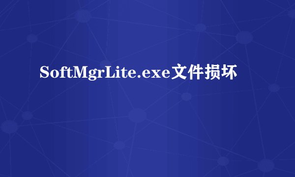 SoftMgrLite.exe文件损坏