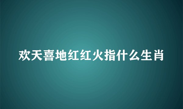 欢天喜地红红火指什么生肖