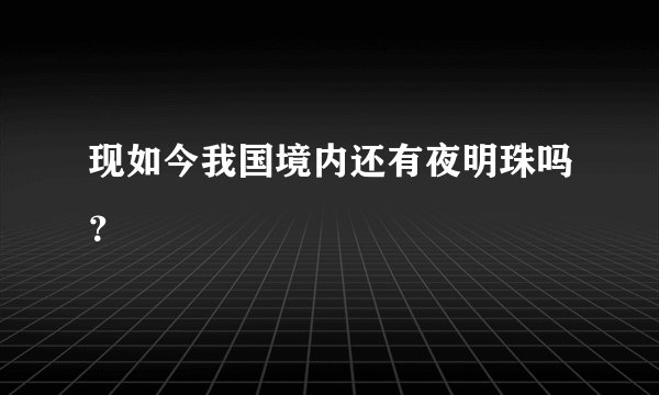 现如今我国境内还有夜明珠吗？