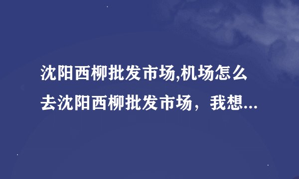沈阳西柳批发市场,机场怎么去沈阳西柳批发市场，我想去批发一些袜子、内裤、睡衣之类的。