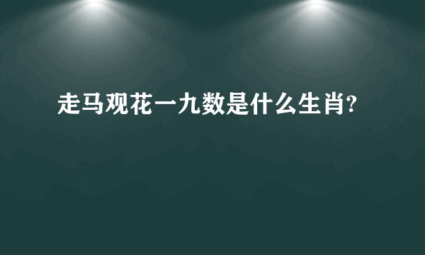 走马观花一九数是什么生肖?