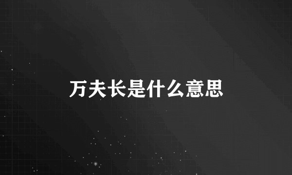万夫长是什么意思