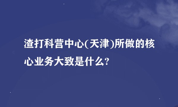 渣打科营中心(天津)所做的核心业务大致是什么?