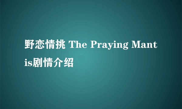 野恋情挑 The Praying Mantis剧情介绍