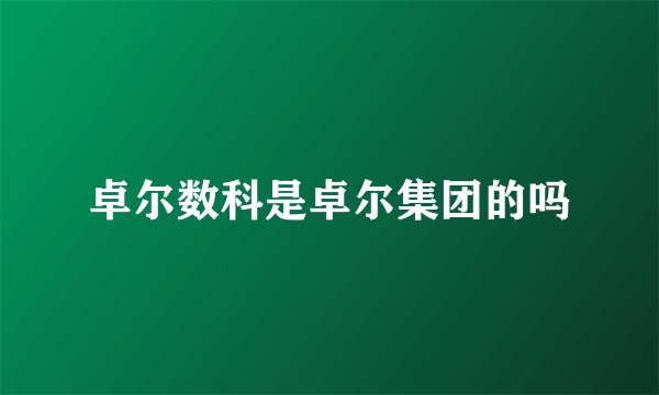 卓尔数科是卓尔集团的吗