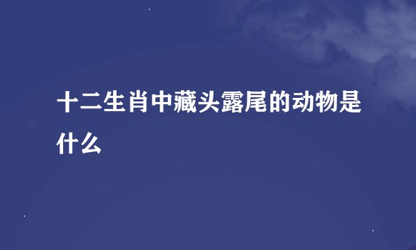 十二生肖中藏头露尾的动物是什么