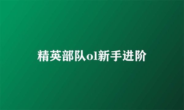精英部队ol新手进阶