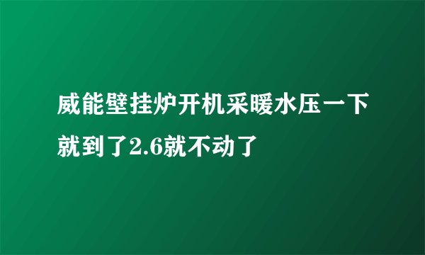 威能壁挂炉开机采暖水压一下就到了2.6就不动了