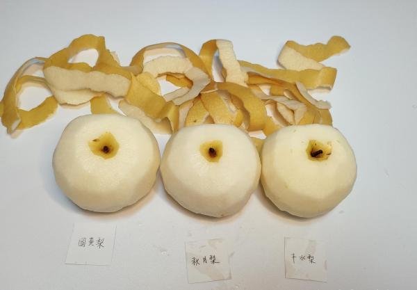 黄皮梨测评之圆黄梨、秋月梨、丰水梨