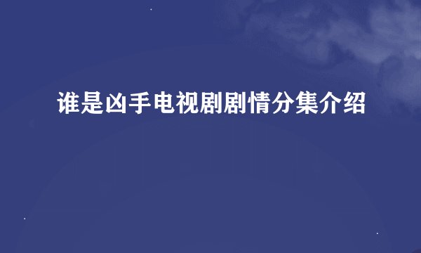 谁是凶手电视剧剧情分集介绍