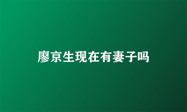 廖京生现在有妻子吗