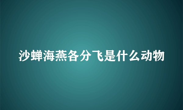 沙蝉海燕各分飞是什么动物