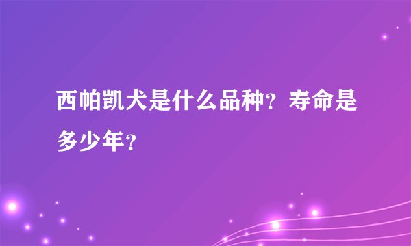 西帕凯犬是什么品种？寿命是多少年？