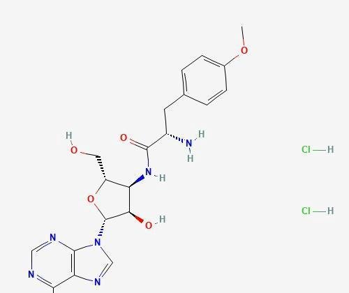 盐酸嘌呤霉素；蛋白质生物合成抑制剂