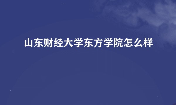 山东财经大学东方学院怎么样
