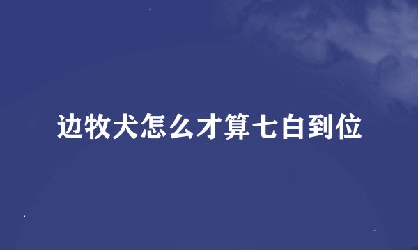边牧犬怎么才算七白到位