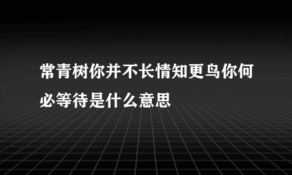 常青树你并不长情知更鸟你何必等待是什么意思