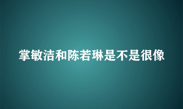 掌敏洁和陈若琳是不是很像