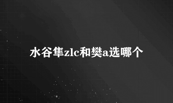 水谷隼zlc和樊a选哪个