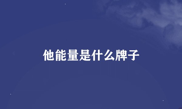 他能量是什么牌子