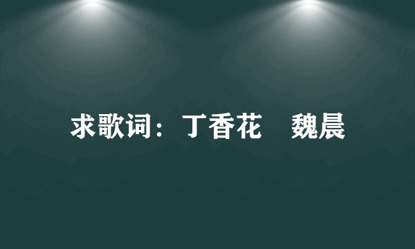 求歌词：丁香花 魏晨