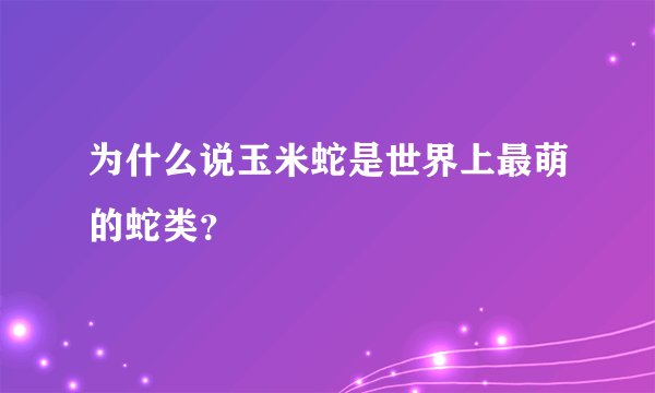 为什么说玉米蛇是世界上最萌的蛇类？