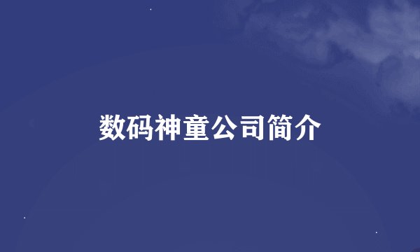 数码神童公司简介